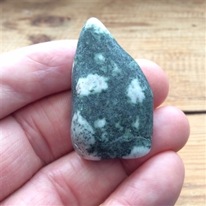 Spotted Preseli Blue stone or stoneshenge stone
